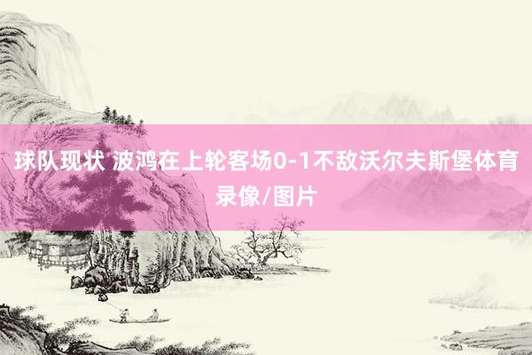 球队现状 波鸿在上轮客场0-1不敌沃尔夫斯堡体育录像/图片