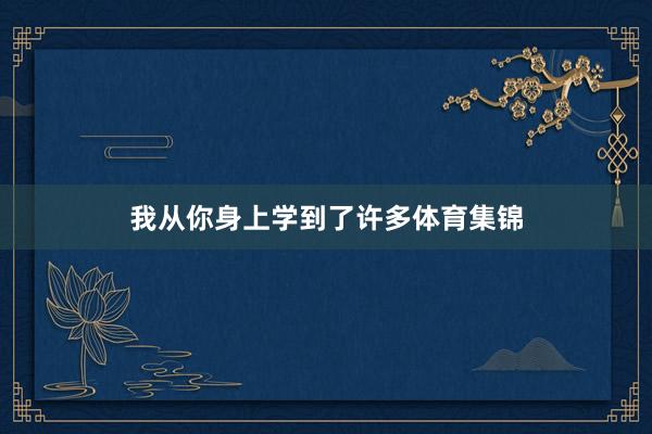我从你身上学到了许多体育集锦