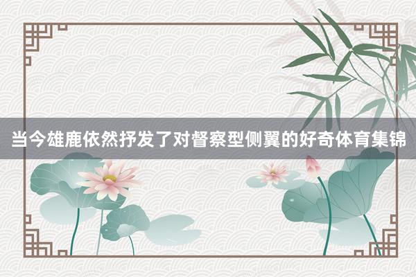 当今雄鹿依然抒发了对督察型侧翼的好奇体育集锦