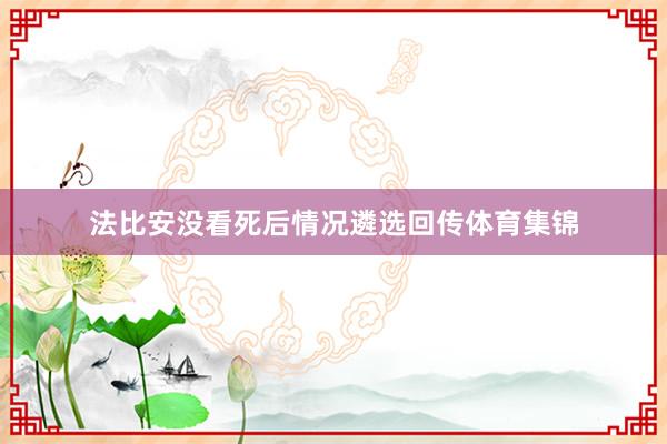 法比安没看死后情况遴选回传体育集锦