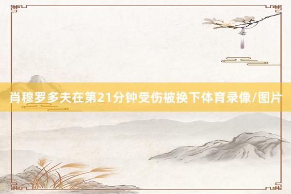 肖穆罗多夫在第21分钟受伤被换下体育录像/图片