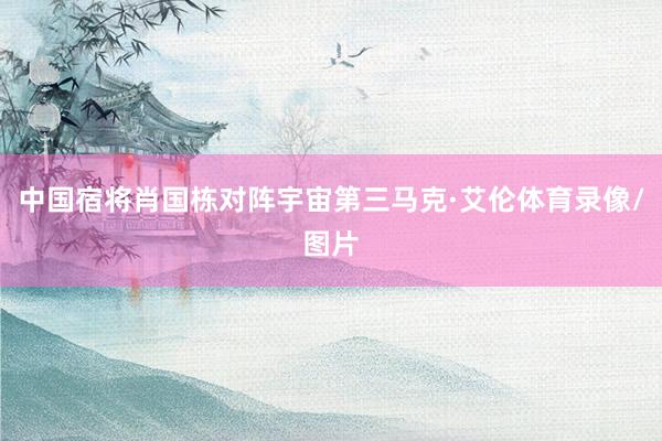 中国宿将肖国栋对阵宇宙第三马克·艾伦体育录像/图片
