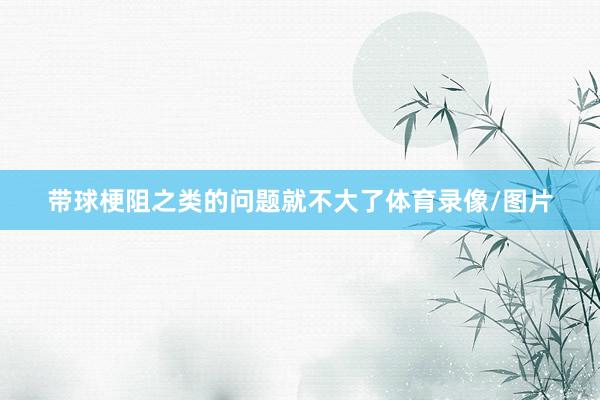 带球梗阻之类的问题就不大了体育录像/图片