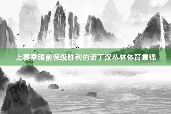 上赛季眼前保级胜利的诺丁汉丛林体育集锦