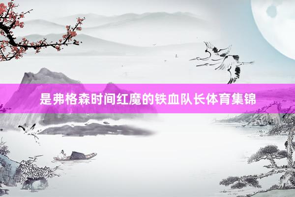 是弗格森时间红魔的铁血队长体育集锦