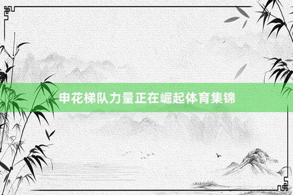 申花梯队力量正在崛起体育集锦