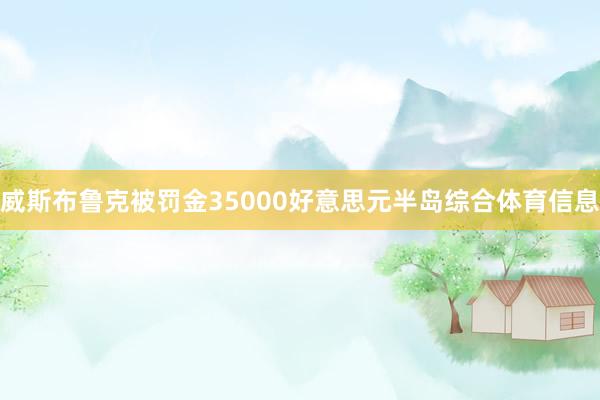 威斯布鲁克被罚金35000好意思元半岛综合体育信息