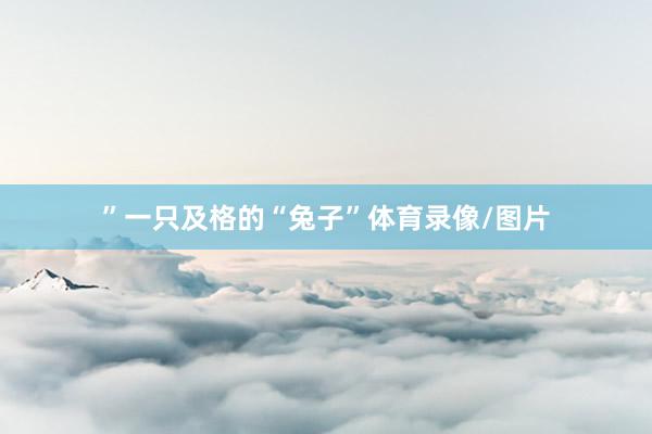 ”一只及格的“兔子”体育录像/图片