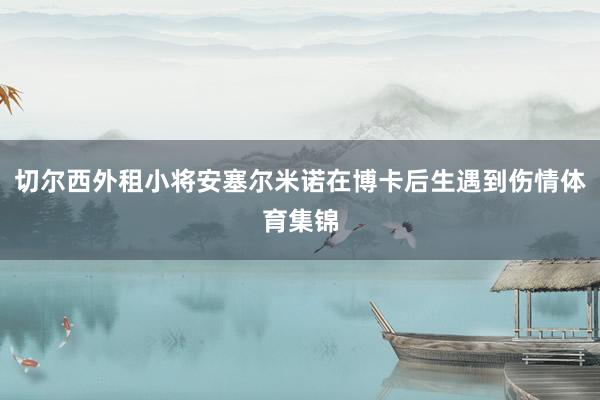 切尔西外租小将安塞尔米诺在博卡后生遇到伤情体育集锦