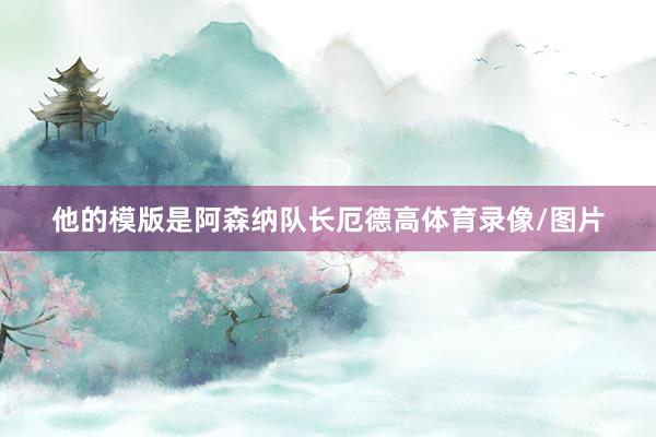 他的模版是阿森纳队长厄德高体育录像/图片