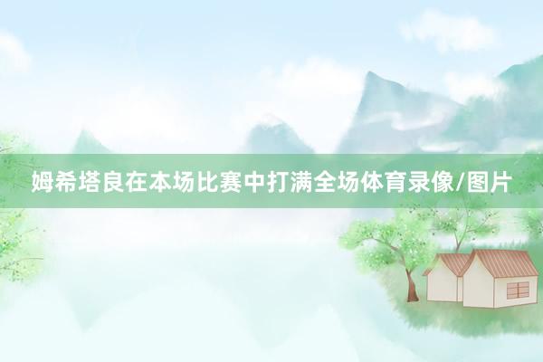 姆希塔良在本场比赛中打满全场体育录像/图片