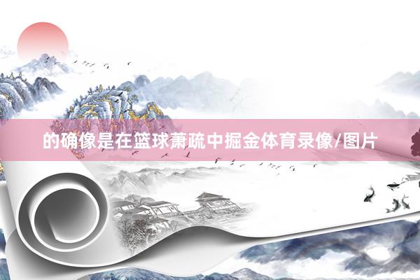 的确像是在篮球萧疏中掘金体育录像/图片