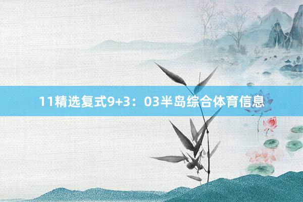 11　　精选复式9+3：03半岛综合体育信息