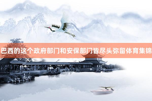 巴西的这个政府部门和安保部门皆尽头弥留体育集锦