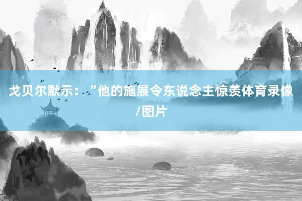 戈贝尔默示：“他的施展令东说念主惊羡体育录像/图片