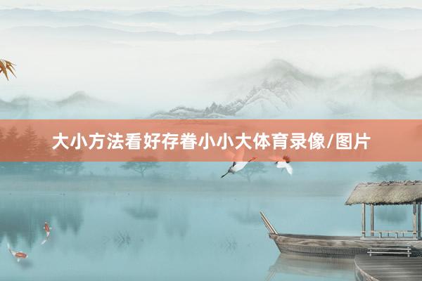 大小方法看好存眷小小大体育录像/图片