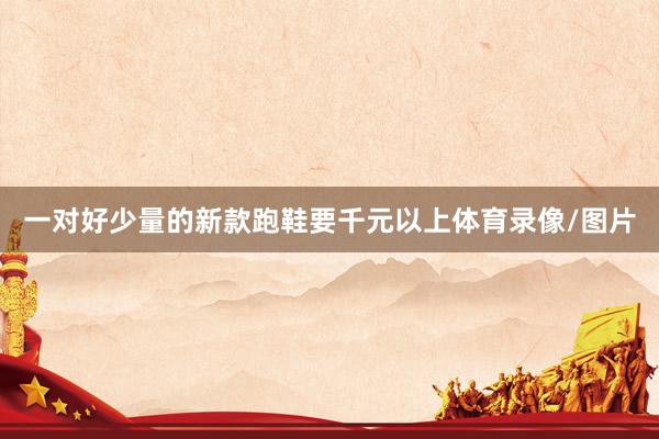 一对好少量的新款跑鞋要千元以上体育录像/图片