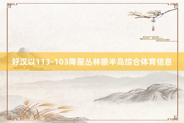 好汉以113-103降服丛林狼半岛综合体育信息