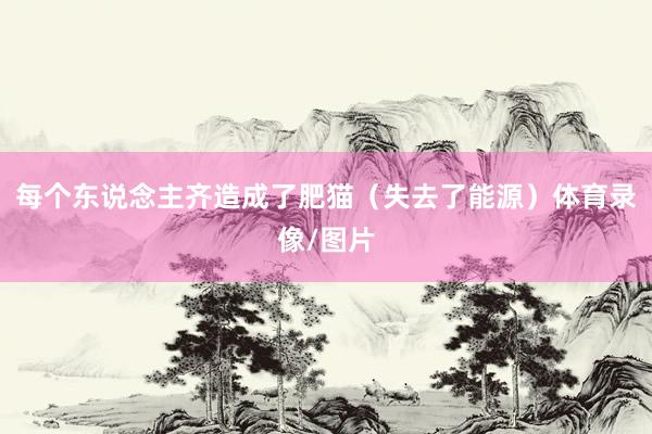 每个东说念主齐造成了肥猫（失去了能源）体育录像/图片