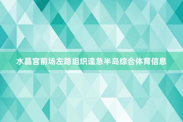水晶宫前场左路组织遑急半岛综合体育信息