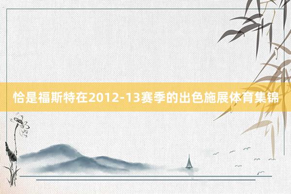 恰是福斯特在2012-13赛季的出色施展体育集锦