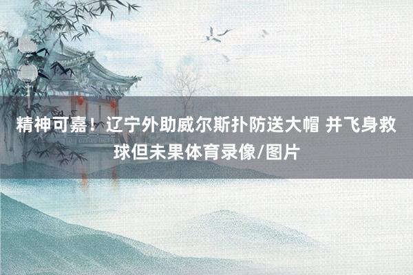 精神可嘉！辽宁外助威尔斯扑防送大帽 并飞身救球但未果体育录像/图片