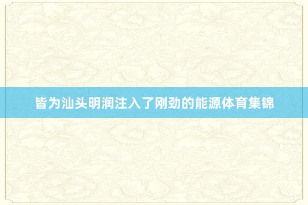 皆为汕头明润注入了刚劲的能源体育集锦