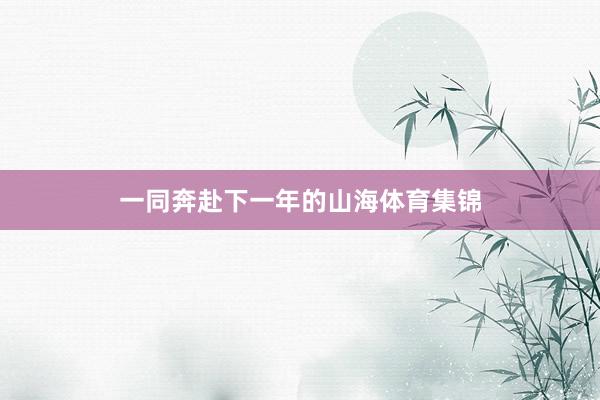 一同奔赴下一年的山海体育集锦
