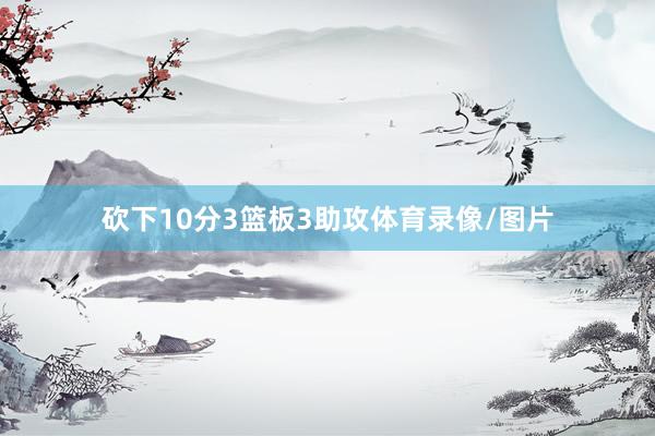 砍下10分3篮板3助攻体育录像/图片