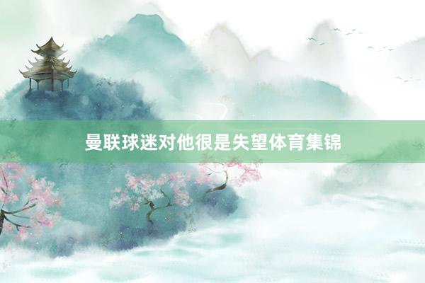 曼联球迷对他很是失望体育集锦