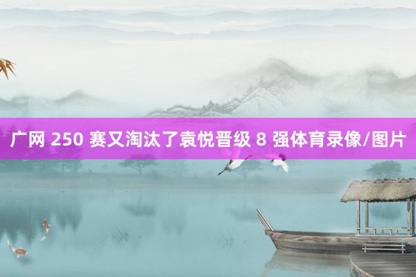 广网 250 赛又淘汰了袁悦晋级 8 强体育录像/图片