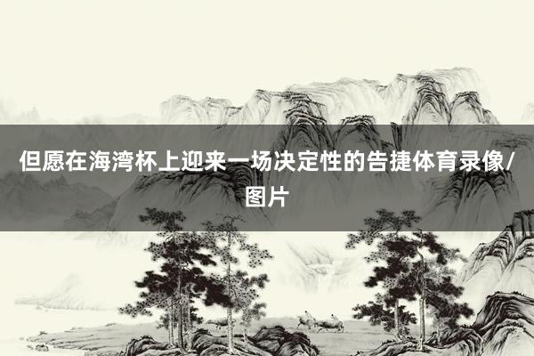 但愿在海湾杯上迎来一场决定性的告捷体育录像/图片