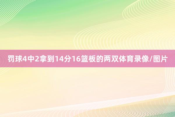 罚球4中2拿到14分16篮板的两双体育录像/图片