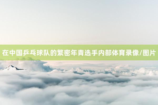 在中国乒乓球队的繁密年青选手内部体育录像/图片