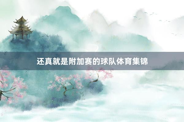 还真就是附加赛的球队体育集锦