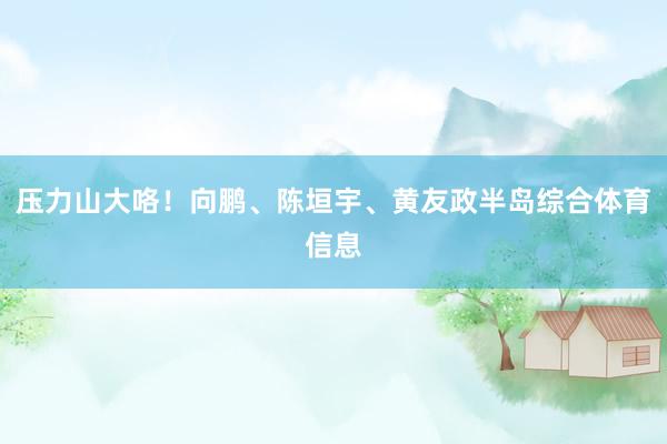 压力山大咯！向鹏、陈垣宇、黄友政半岛综合体育信息