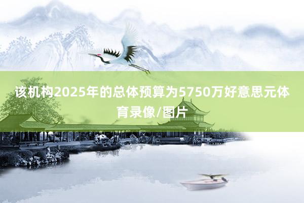 该机构2025年的总体预算为5750万好意思元体育录像/图片