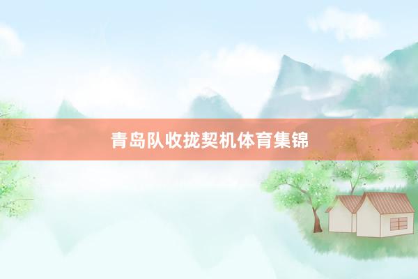 青岛队收拢契机体育集锦