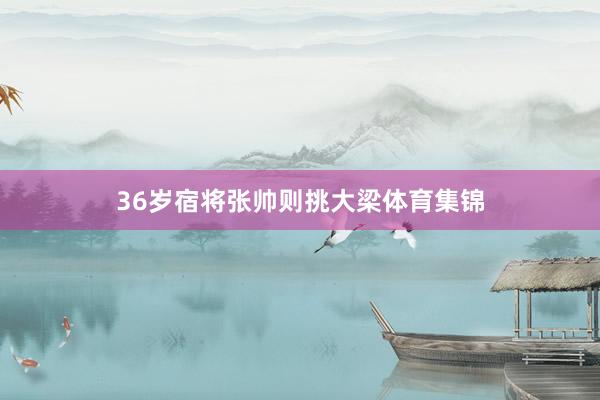 36岁宿将张帅则挑大梁体育集锦