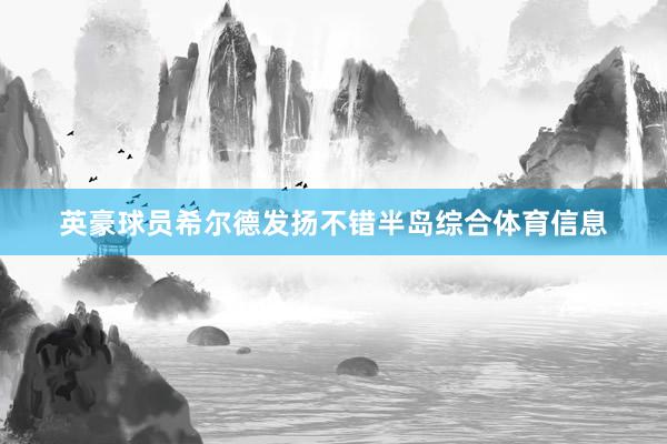 英豪球员希尔德发扬不错半岛综合体育信息