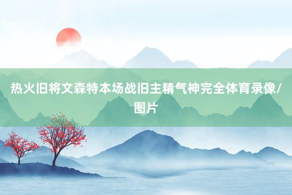 热火旧将文森特本场战旧主精气神完全体育录像/图片