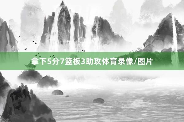 拿下5分7篮板3助攻体育录像/图片