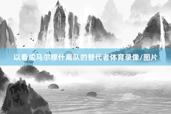 以看成马尔穆什离队的替代者体育录像/图片