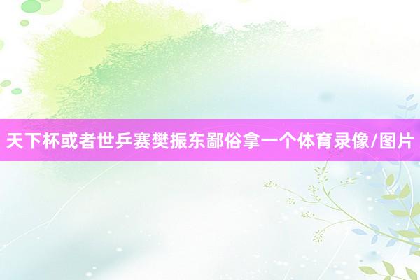 天下杯或者世乒赛樊振东鄙俗拿一个体育录像/图片