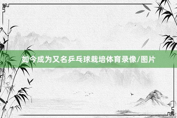 如今成为又名乒乓球栽培体育录像/图片
