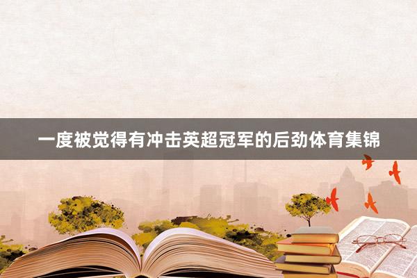 一度被觉得有冲击英超冠军的后劲体育集锦