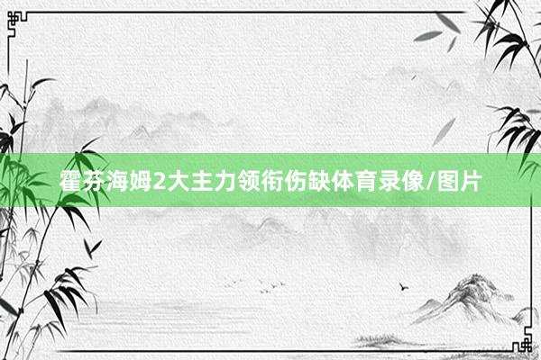 霍芬海姆2大主力领衔伤缺体育录像/图片