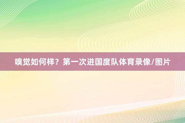 嗅觉如何样？第一次进国度队体育录像/图片