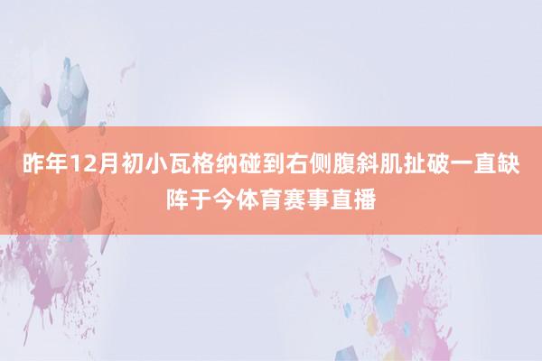 昨年12月初小瓦格纳碰到右侧腹斜肌扯破一直缺阵于今体育赛事直播