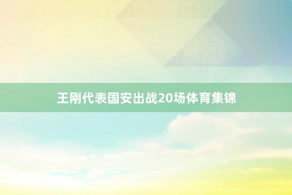 王刚代表国安出战20场体育集锦